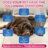WEALLIN Cat & Dog Natural Urinary Tract Infection Treatment with Cranberry, Kidney, and Bladder Support Supplement, Support for Urinary Comfort & Bladder Flow – Pet Renal Care Support Drops