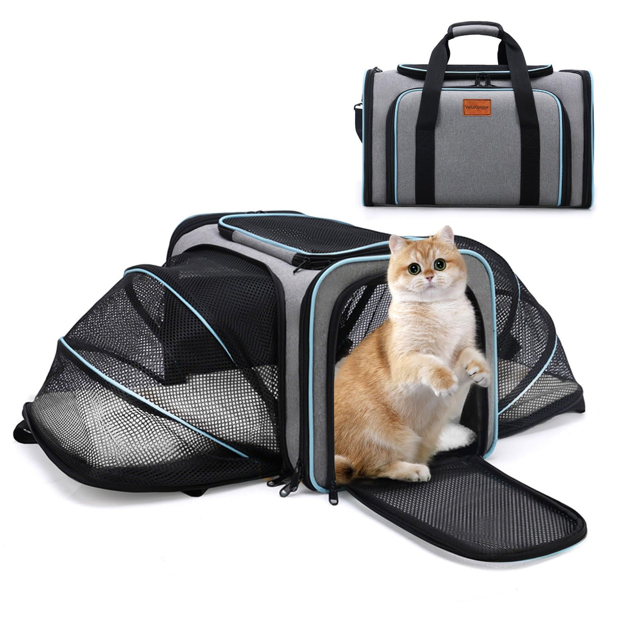 VeluXanipyr Expandable Airline Approved Pet Carrier, Soft-Sided Travel Bag for Small Cats Dogs with Hard Shell Base, Removable Fleece Pad, Ventilated Mesh, Gray (Blue Trim)