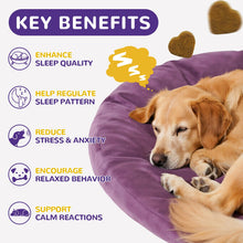 Load image into Gallery viewer, Melatonin for Dogs, Dog Melatonin Calming Chews for Small and Large Dogs - Natural Sleep Aid for Anxiety Stress Relief - Puppy Sleeping Pills - Thunder, Separation, Barking, 3mg, 120ct
