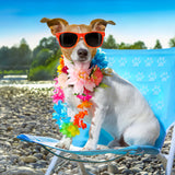 POPETPOP Dog Flower Crown, Dog Tiara Adjustable Pet Flower Headband for Pet Wedding Outfit Vacation Costume Decor