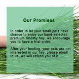 Ohcool Timothy Hay 1.1LB - Dust Free Natural Green Fresh Food Hay for Rabbits Tortoise Guinea Pig Chinchilla
