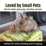 High Desert 2nd Cutting Timothy Hay for Rabbits, Guinea Pigs, Chinchillas and Small Pets, Soft Leafy for Daily Feeding and Digestive Health, Natural Rabbit Food and Guinea Pig Hay for Hay, 4 Lb Box