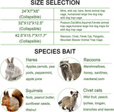 2023 Upgraded Reinforced Animal Traps,Rabbit Traps,33in Live Animal Cage for Squirrels,Stray Cats Trap, Live Traps for Raccoons, Stainless Steel Foldable with Pedal Triggers(33x12x13inch)