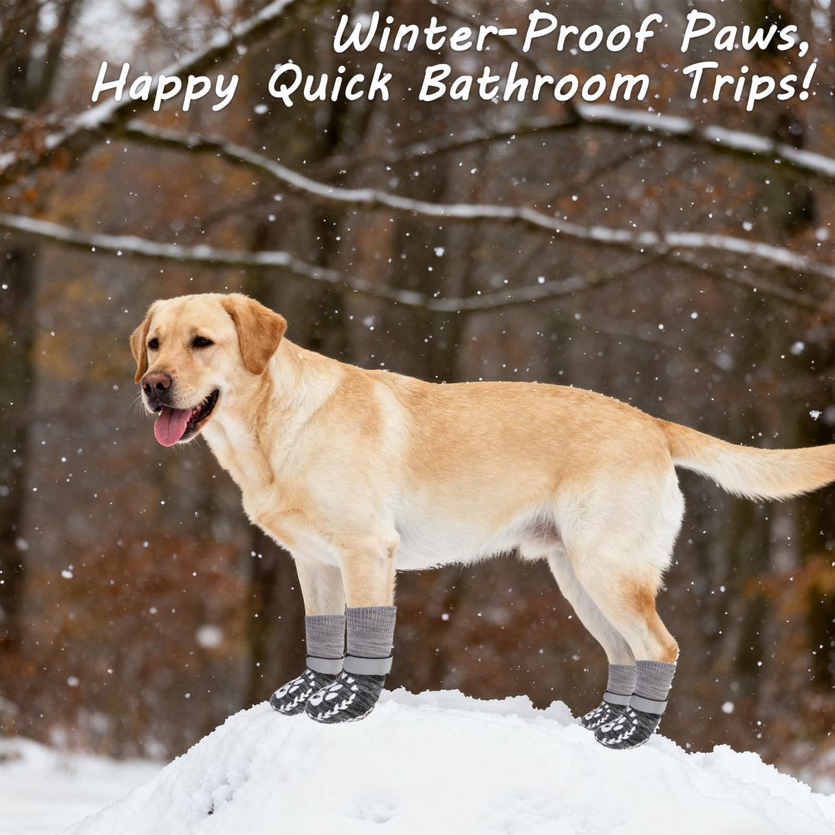 EXPAWLORER Dog Socks to prevent Licking and Slipping, Winter Dog Shoes for Cold Weather Snow, Paw Protectors for Hardwood Floors Anti-Slip, Dog Booties for Small Medium Large Senior Dogs,Black Grey XL