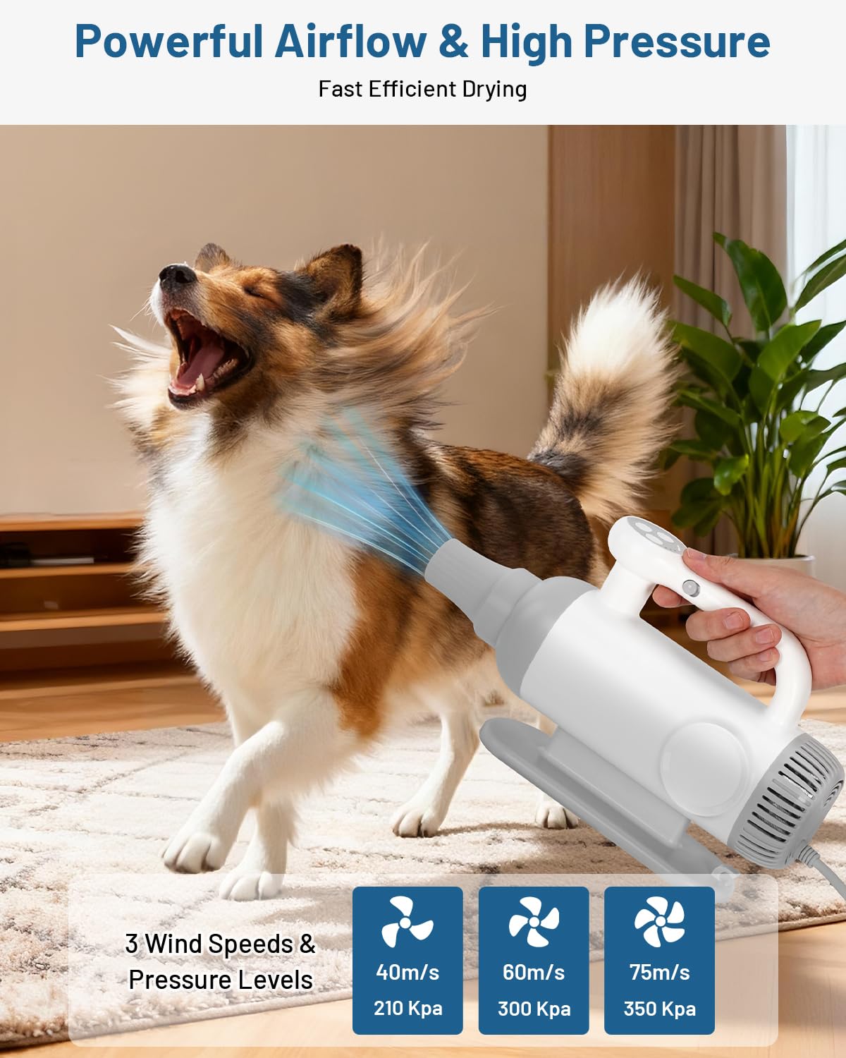 LOTYP Handheld Dog Force Dryer – Compact Size & High-Velocity Airflow, Adjustable Speed & Temperature Pet Hair Blow Dryer, Professional Cat Blower Grooming Dryer for Fast Drying