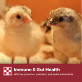 Purina Start & Grow | Nutritionally Complete Medicated Chick Feed Crumbles | 5 Pound (5 lb.) Bag