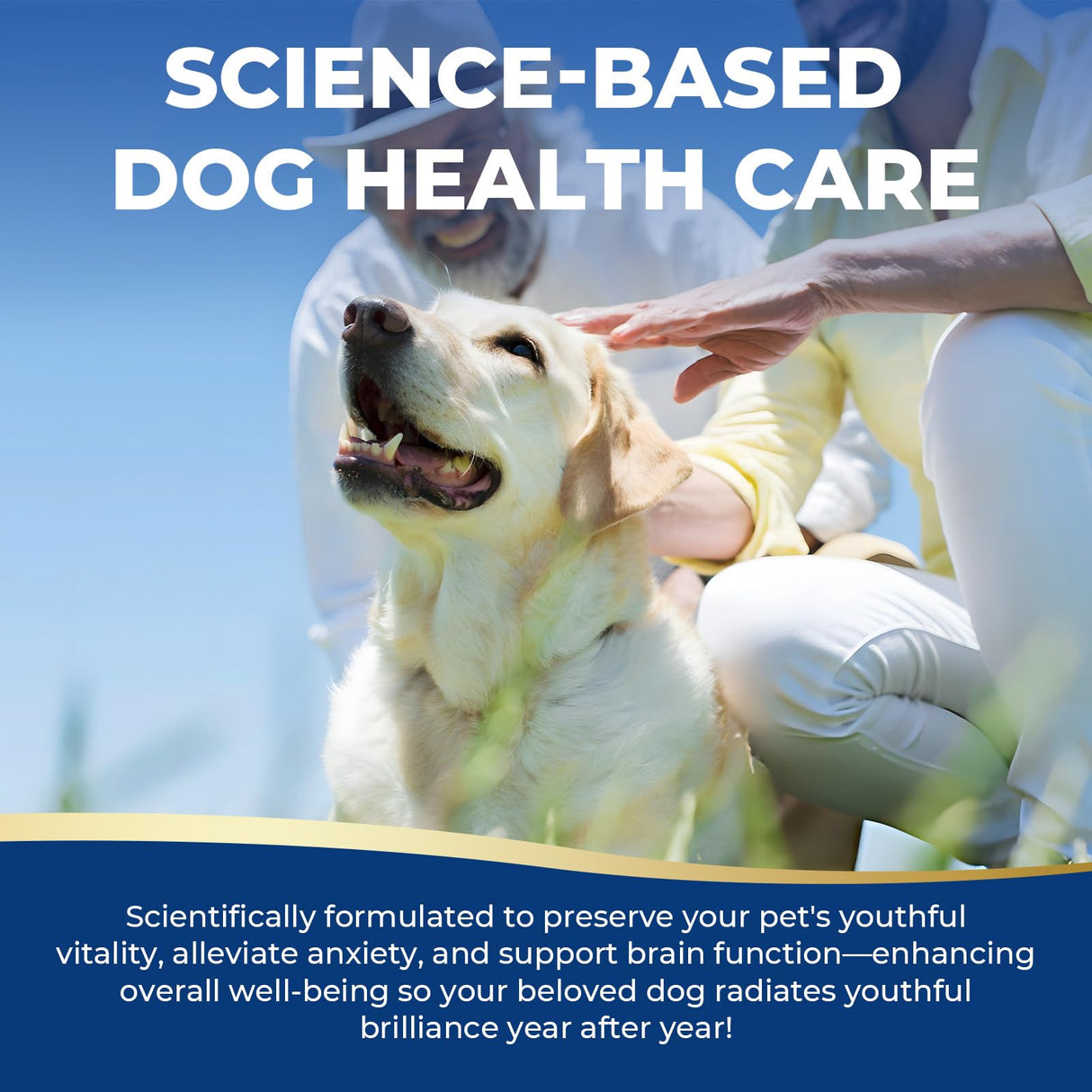 Nicotinamide Adenine Dinucleotide Precursor & Senior Dog Supplement,Dog Cognitive & Calming Chews,Dogs Vitamin Supplement,Supports Dogs Anti-Aging,Cognitive Health & Anxiety Relief,Promotes Relaxation