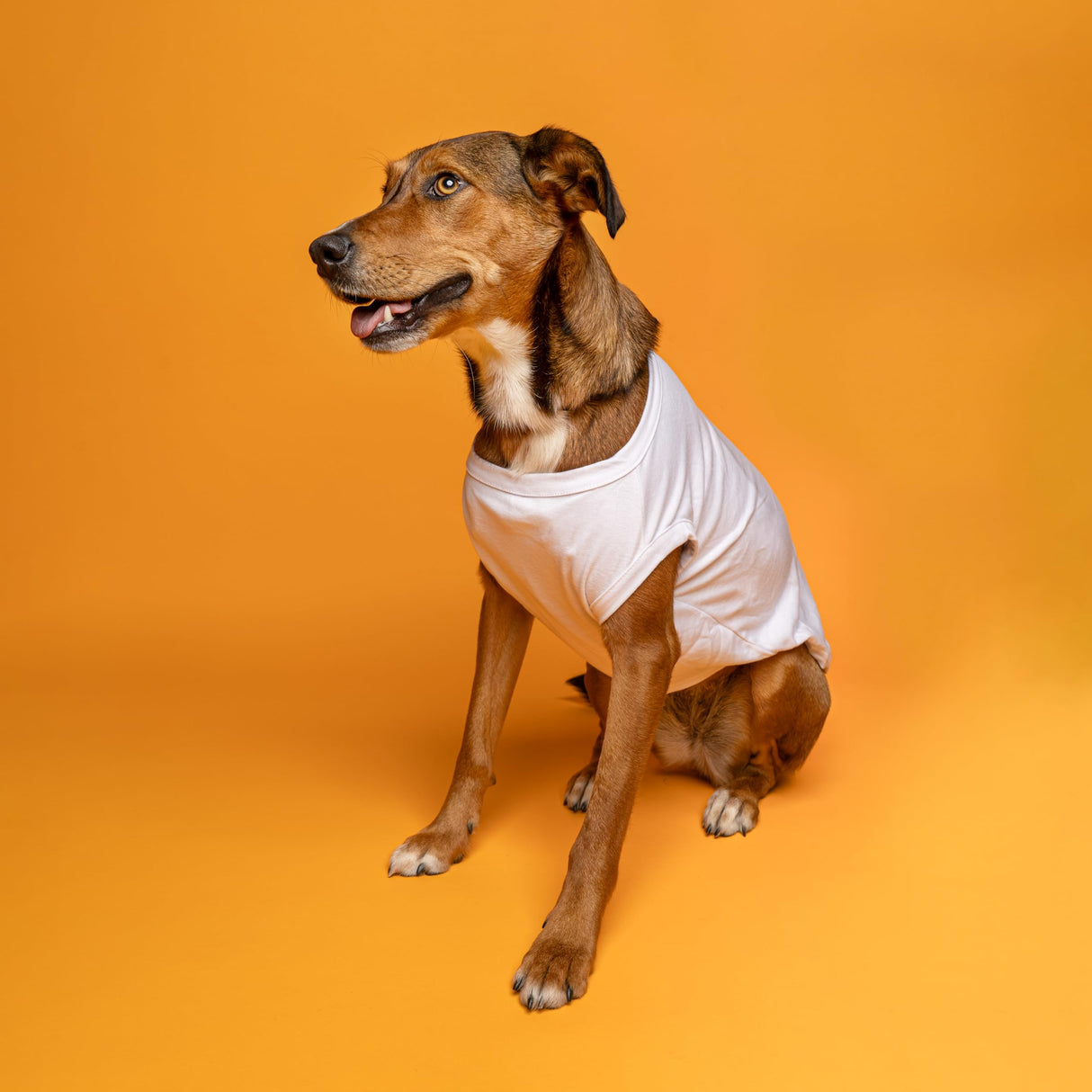 Love My Auntie, Aunt, Valentine's Day, Mother's Day Dog Tee Shirt Sizes for Puppies, Toys, and Large Breeds (Orange, 3X-Large 400)