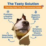 Happy Paws No Poo Chews for Dogs, Poop Eating Coprophagia Deterrent, Soft Chews for Dogs with Pumpkin, Probiotics & Enzyme Blend for Digestive Health, Organic, Vegan, Non GMO, Beef Flavor, 100 Count