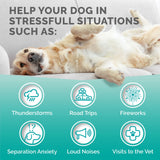 PREMIUM CARE Calming Chews for Dogs, Made in USA - Helps with Dog Anxiety, Separation, Barking, Stress Relief, Thunderstorms and More, 9.3 oz (264g), 120 Count
