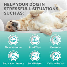 Load image into Gallery viewer, PREMIUM CARE Calming Chews for Dogs, Made in USA - Helps with Dog Anxiety, Separation, Barking, Stress Relief, Thunderstorms and More, 9.3 oz (264g), 120 Count
