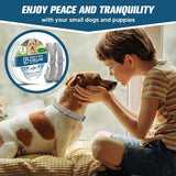 AMDEIUR Flea and Tick Collar for Puppies, Dog Tick Collars, Flea Collar for Small Dogs, Waterproof, 8 Months Protection Each, One Size Fits All-2P