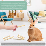 Bissap 910g/2Ib Sweet Bamboo Chew Sticks for Rabbits, Bunny Molar Treats Snack for Small Animals Hamsters Chinchillas Guinea Pigs Squirrels Natural Teeth Grinding Toys