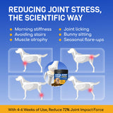 FURRY ARMOR Glucosamine for Dogs 180pcs Joint Support Supplement Dog Hip and Joint Chondroitin Chews Treats with MSM Hemp Dog Joint Pain Relief Mobility Supplements