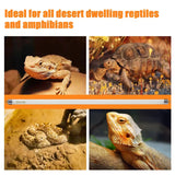 Celiwace T5 10.0 UVB Reptile Light Bulb 22 inch, Desert Reptile UVB Bulb 24W, for Lizards, Bearded Dragons, Chameleons