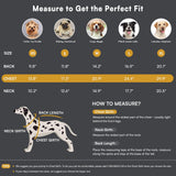 Queenmore Warm Dog Winter Coat, Cold Weather Waterproof Dog Snow Jacket, Reflective Dogs Hoodie with Long Sleeves for Small Medium and Large Dogs