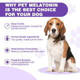 Melatonin for Dogs,Dog Sleep Aid,Calming for Dogs,Melatonin for Sleep Relieves Anxiety and Stress in Dog, Helps Calm and Restful Sleep,Bacon Flavor