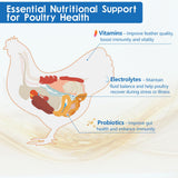 Chicken Vitamin, Electrolyte & Probiotic Supplement - Support Hydration Digestion Immunity Egg Production – Poultry Supplement for Chickens, Ducks, and All Ages of Birds – All-Season Use,10oz Powder