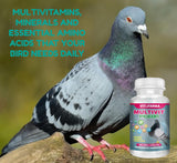 VITOFARMA MULTIVIT Pigeon para palomas 100 Tabs Vitamins Minerals Aminoacids for Racing Pigeons Show Pigeons Rollers Supplement for Birds