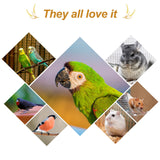 Amzey 5.5LB Spray Millet for Parakeets, 100% Natural Sun-Dried Healthy Bird Treat, Non-GMO High Protein Fresh Millet Spray for Parrots, Cockatiel, Finches & Lovebirds