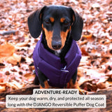 DJANGO Reversible Puffer Dog Coat – Warm Winter Dog Jacket & Water-Repellent Insulated Dog Coat w/Harness Hole, Windproof, Adjustable Fit for Small & Medium Dogs, Dachshunds – Violet Purple, Large