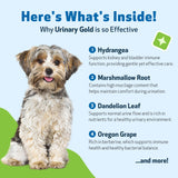 Pet Wellbeing Urinary Gold for Dogs - Vet-Formulated Multi-Herb Urinary Tract Support - Bladder Health & Urinary System Wellness - Natural Dog Supplement - Liquid Formula 2 oz (59ml)