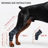 SHARKBEEPOWER Dog Knee Brace for Back Leg, ACL Support for Large Dogs, Adjustable Dog Leg Brace for Hind Leg Injuries, Canine Joint Wrap for Arthritis Recovery (L)