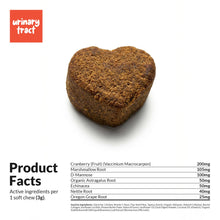 Load image into Gallery viewer, Cranberry for Dogs - 90 Soft Chews - Urinary Tract Support, Bladder Health, Dog UTI, Bladder Stones, Incontinence Support (Soft Chews)
