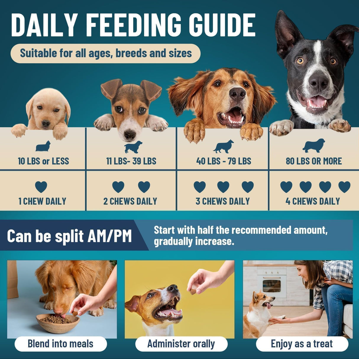 Dog Probiotics for Dogs, 200 Soft Probiotics Chews for Dogs Digestive Health Gut Health & Immune System, with 6 Probiotics & Digestive Enzymes, Support Itchy Skin, Constipation & Diarrhea Relief
