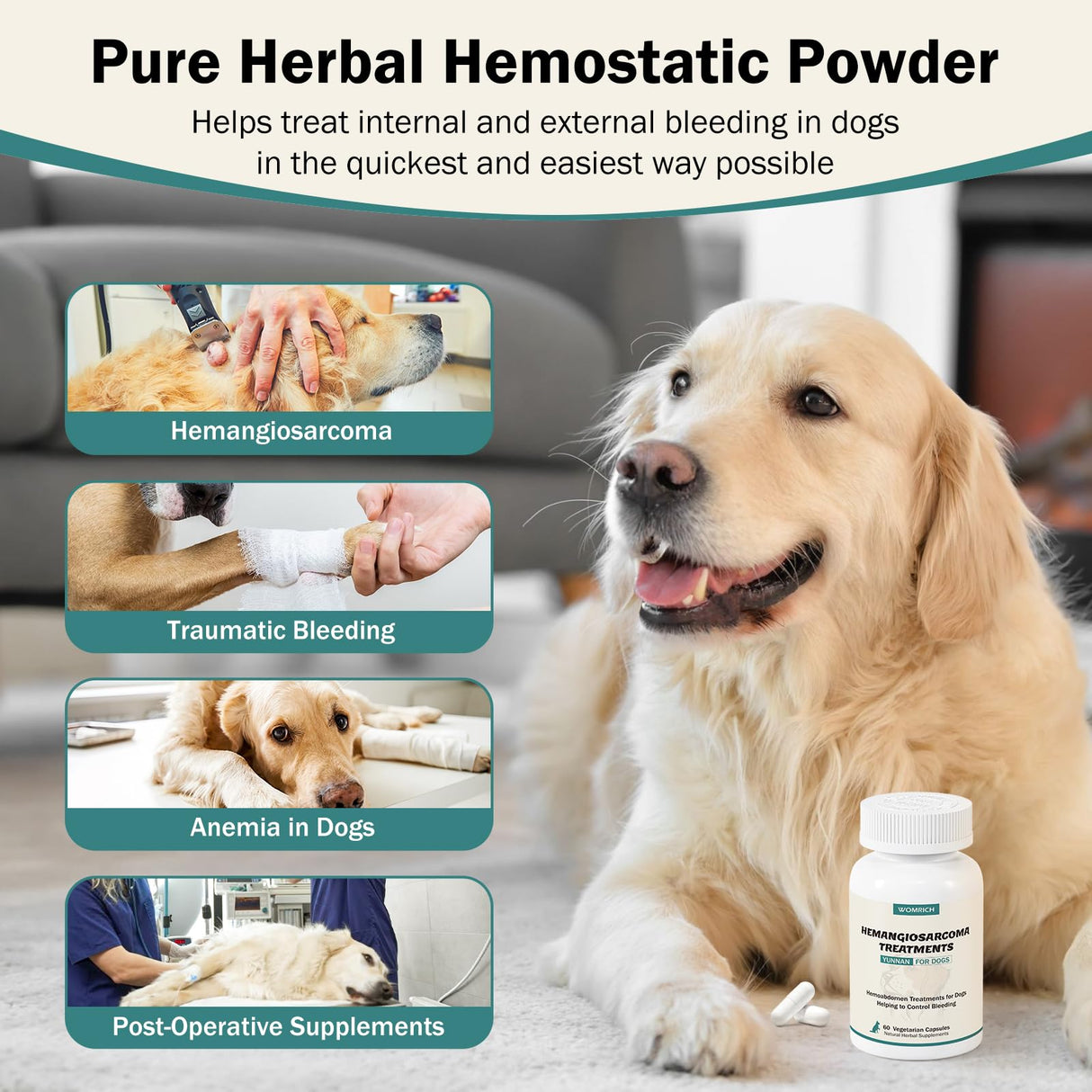 Blood Support for Dogs, Yunan Sanqi Capsules for Dogs for Hemangiosarcoma, Hemoabdomen, Pericardial Effusion, Cancer Bleeding, Severe Bruising, Ulcer-Related Bleeding, Bloody Stools - 60 Capsules