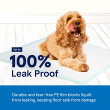 Load image into Gallery viewer, Puppy Pads Pet Pee Pads for Dogs &amp; Puppy Training [100-COUNT] Potty Pads for Dogs 22" x 22" Leak-Proof Dog Pee Pads - Quick-Dry Surface - Heavy Duty Absorbent Disposable Dog Wee Pad Bulk Pack
