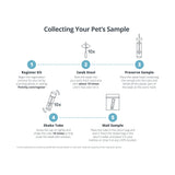 Petivity Microbiome Analysis Kit — Basic for Cats and Dogs, Powered by Purina - 4.8 oz. Box