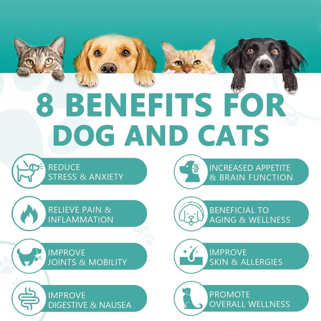 (3 Pack) Max Potency Hemp Oil for Dogs & Cats - Help Anxiety Stress Pain Inflammation Arthritis Aggressive Relax Sleep Allergies Seizures Relief - Treats Chews Joint & Hip - Organic Pet Calming Drops