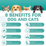 (3 Pack) Max Potency Hemp Oil for Dogs & Cats - Help Anxiety Stress Pain Inflammation Arthritis Aggressive Relax Sleep Allergies Seizures Relief - Treats Chews Joint & Hip - Organic Pet Calming Drops