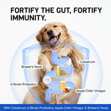 Furry Armor Dog Allergy Relief Chews - Dog Itching Skin Relief - 180 Chews - Anti-Itch, Hot Spots, Paw Licking - Immune Health - Omega 3 Fish Oil - Dry Itchy Skin and Coat Supplement