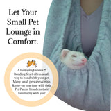 Bonding Scarf for Small Pets | Perfect for Guinea Pigs, Rats, Chinchillas, Hedgehogs, Ferrets, Puppies, Kittens, & More! (Orange Tiedye)