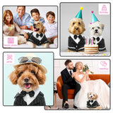 QBLEEV Dog Tuxedo Halloween Costume with Bow Tie, Formal Black Suit & Cat Wedding Outfit, Pet Prince Dress Clothes for Small Medium Large Dogs & Cats – Easy Fit for Party, Photoshoot, Holiday