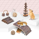 ERKOON 11 Pack Chinchillas Chew Toys, Toys Accessories for Teeth Care, Natural Apple Wood Ladder Bell Roller for Russian Hamster Gerbils Rats Guinea Pigs (11PCS)