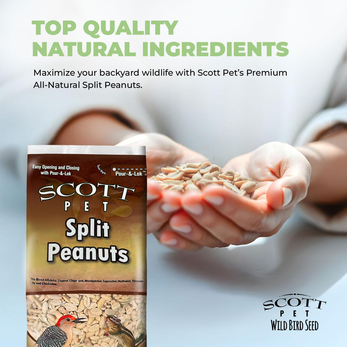Scott Pet Wild Bird Seed, Peanuts Split (No Shell), 8 lbs Bag, Great Source of Protein and Fiber, Peanuts for Outside Wild Birds