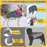 SlowTon Dog Winter Coat, Windproof 3 Layers Thick Warm Fleece Lining Dog Jacket for Cold Weather, Reflective Dogs Apparel with Leash Opening for Medium Large Dogs(Fuchsia,2XL)