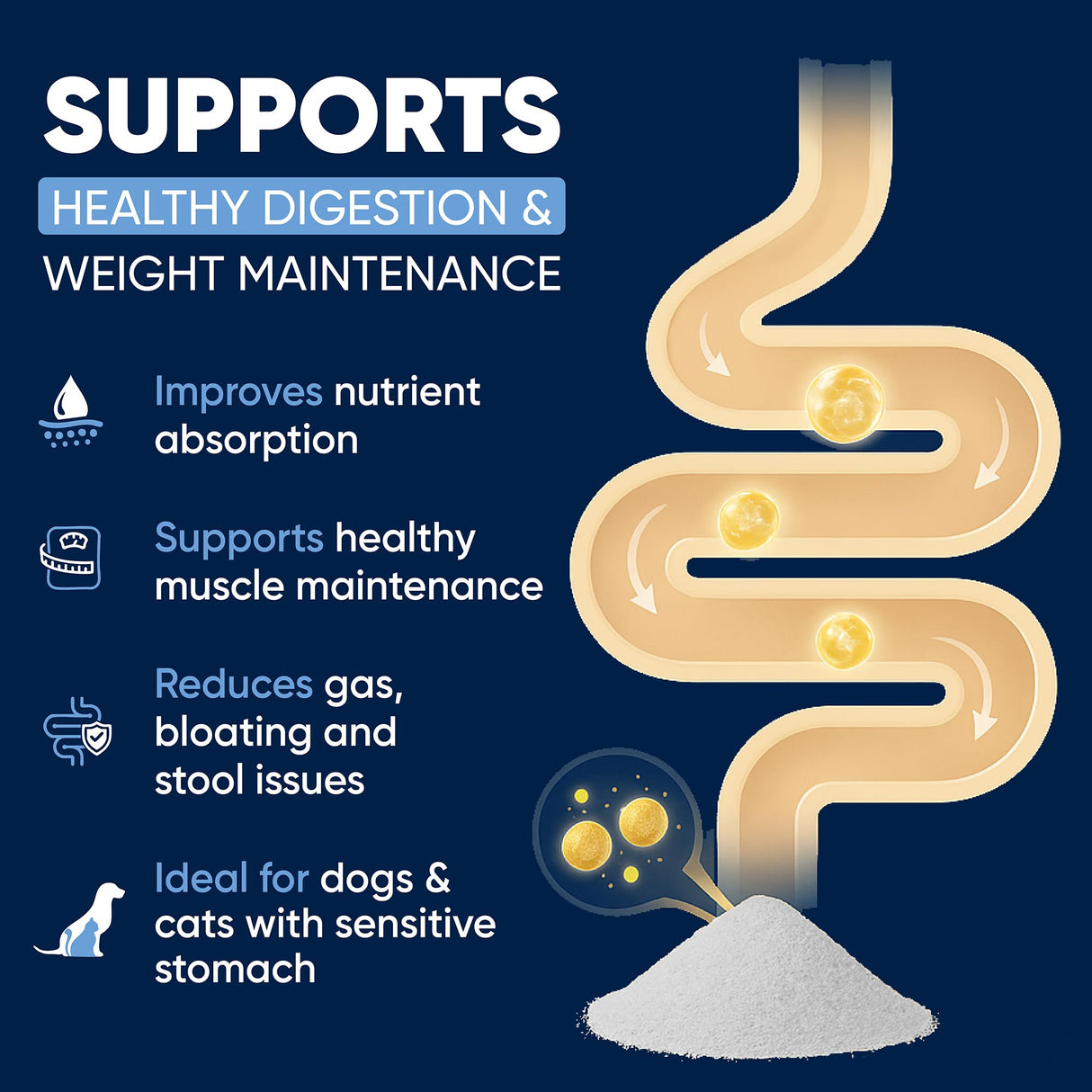 Woofy Pancreatin Digestive Support | Pancreatic Digestive Enzymes | 10x Pancreatin | No Odor | Pancreatin for Dogs and Cats | Pancreatic Enzyme | Great for Pets with EPI | 250 Grams