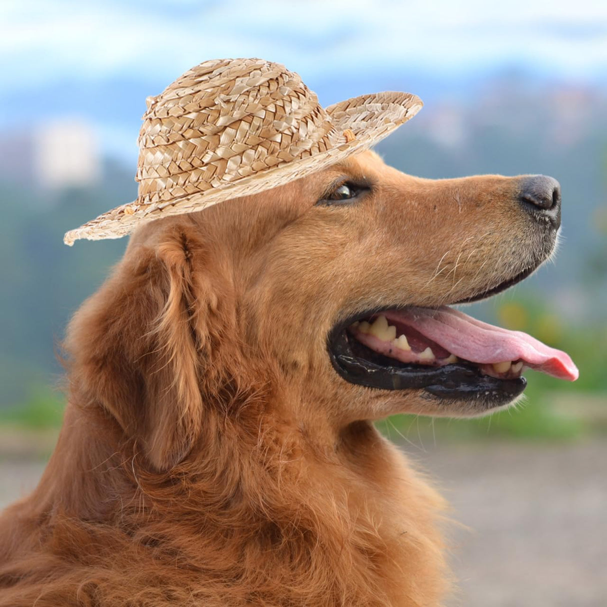 ULTECHNOVO Pet Straw Sun Hat Adjustable Summer Bucket Cap for Dogs and Cats Large Size 8.3 Inch Breathable Garden Beach Outdoor Protection