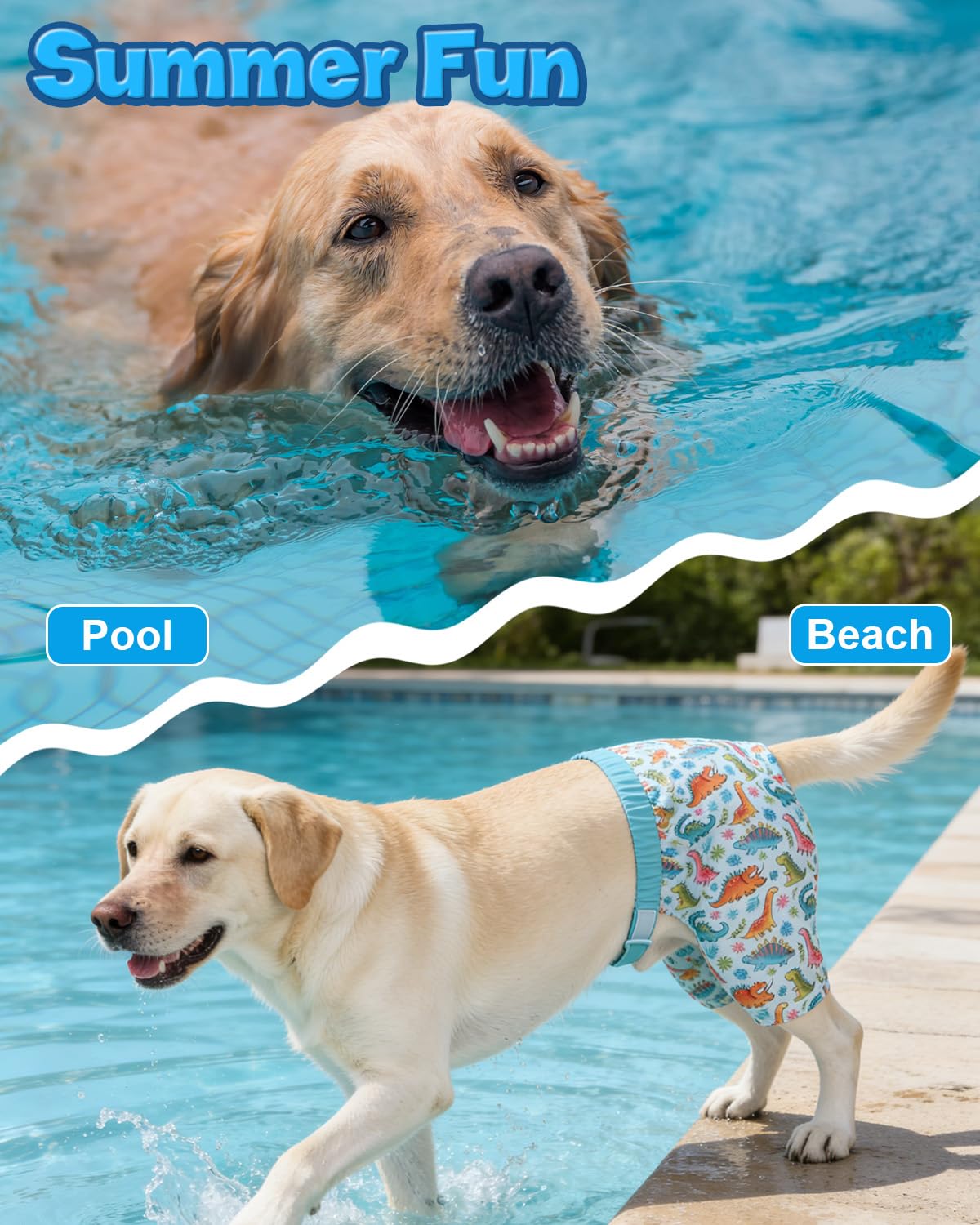 CuteBone Dog Swim Trunks Swimsuit Durable & Comfortable - Quick-Dry, Adjustable Waistband Shorts, UV Protection Bikini- Perfect for Beach, Pool & Outdoor Fun, Dinos DST11XL