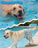 CuteBone Dog Swim Trunks Swimsuit Durable & Comfortable - Quick-Dry, Adjustable Waistband Shorts, UV Protection Bikini- Perfect for Beach, Pool & Outdoor Fun, Dinos DST11XL