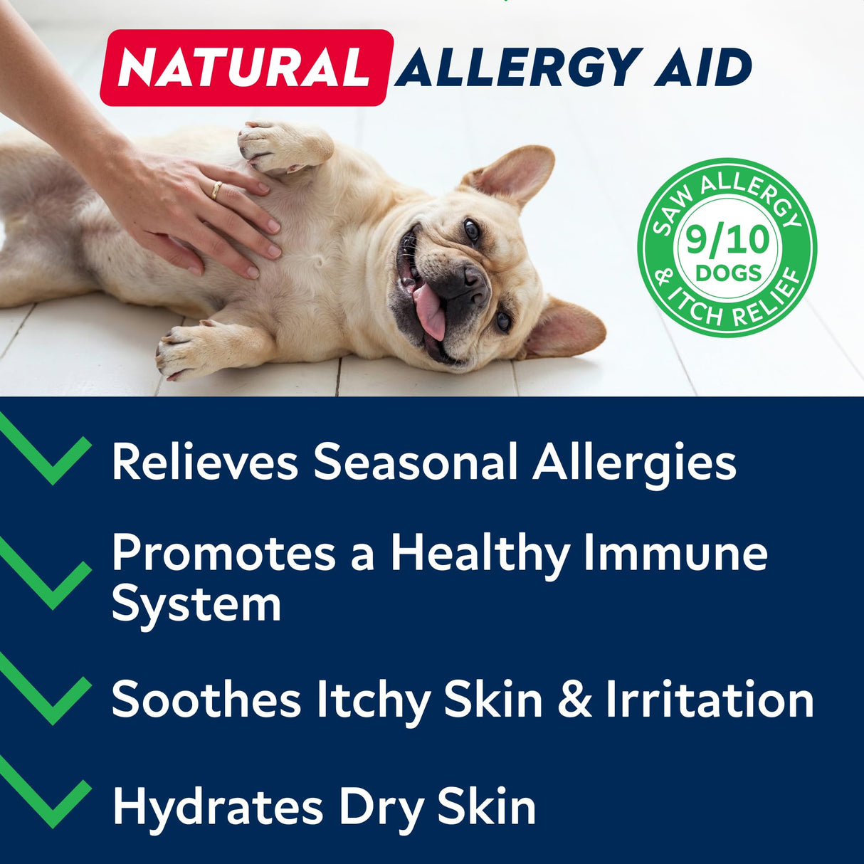 StrellaLab Dog Allergy Relief & Anti Itch Support Chews w/Omega 3: Real Ingredients, Real Taste! Skin & Coat Immune Supplement w/Fish Oil, Pumpkin & Enzymes — Developed by Experts - Made in USA -120Ct