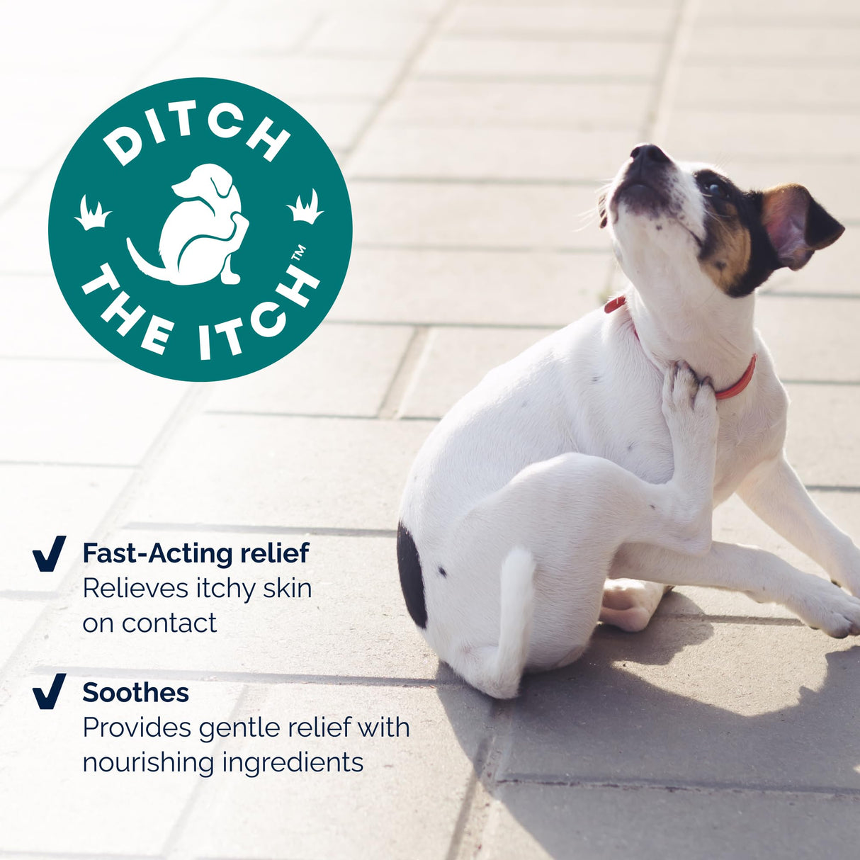 Vetnique Dermabliss Anti Itch Spray for Dogs & Cats with Hydrocortisone for Allergies and Immediate Dog Itching Skin Relief - Fragrance Free with Soothing Oat Extract (8oz)