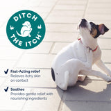 Vetnique Dermabliss Anti Itch Spray for Dogs & Cats with Hydrocortisone for Allergies and Immediate Dog Itching Skin Relief - Fragrance Free with Soothing Oat Extract (8oz)