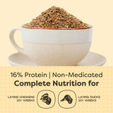 Scratch and Peck Feeds Whole Grain Layer Mash Chicken and Duck Feed - Corn-Free and Soy-Free - 16% Protein, Certified Organic and Non-GMO Project Verified Chicken Food - 50 lbs Bag