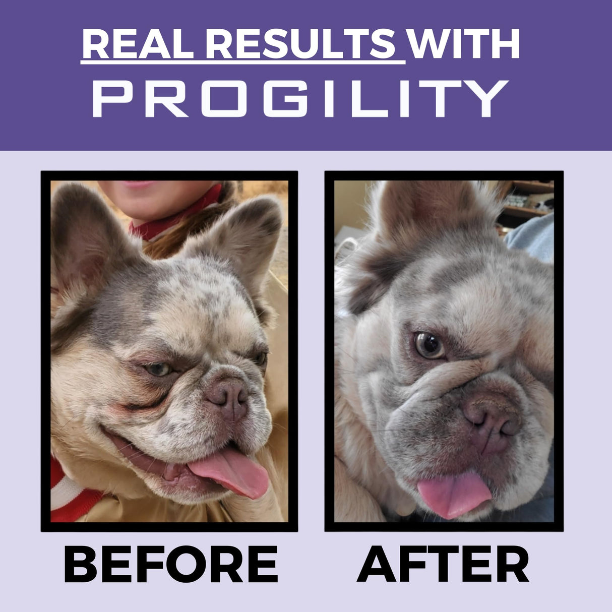 Progility Tear Stain Soft Chews for Dogs – Daily Eye Health Support That Helps Minimize Tear Stains, Advanced Eye Health Formula with Probiotics (80 Count)