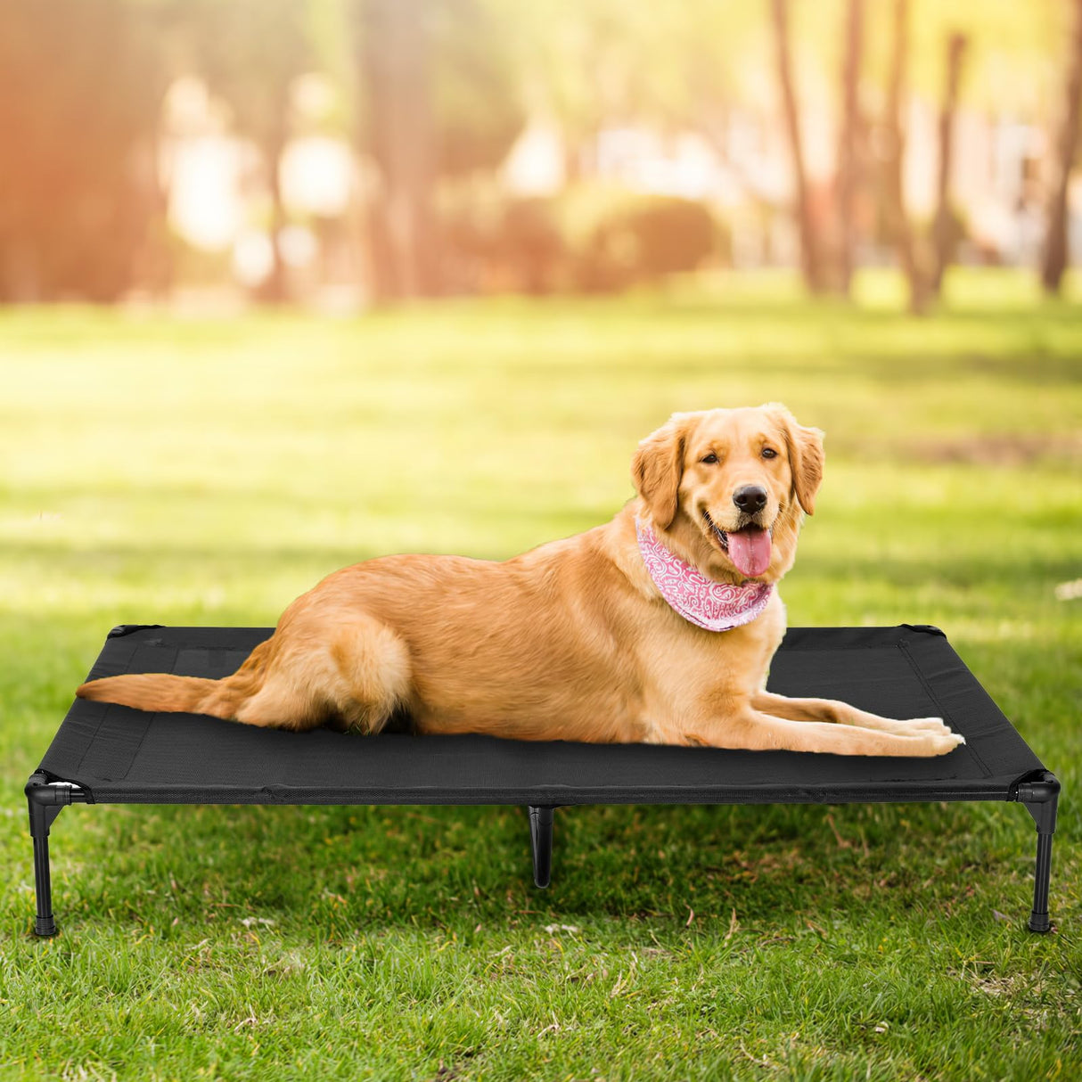 PVY Elevated Dog Bed for Outdoor, Large Raised Dog Cot with Washable Mesh, Cooling Pet Cot Chew Proof for Outside Camping, 42"x30" Grey